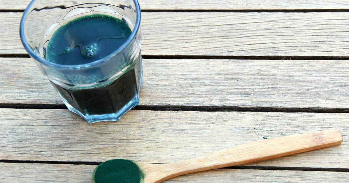 Alga spirulina: 5 buoni motivi per assumerla 